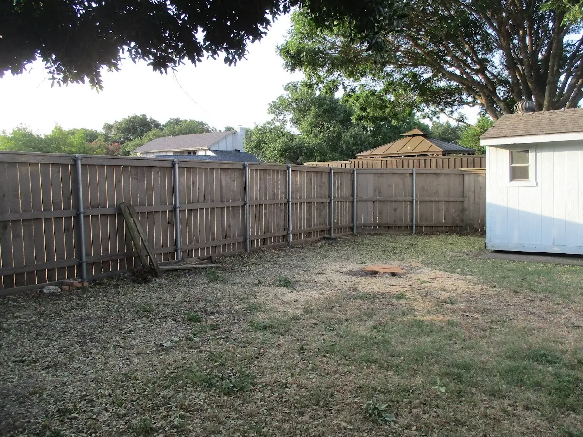 Cleared yard after professional tree removal in Newbury